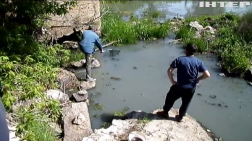 На Житомирщині місцевий комбінат отруїв водойму