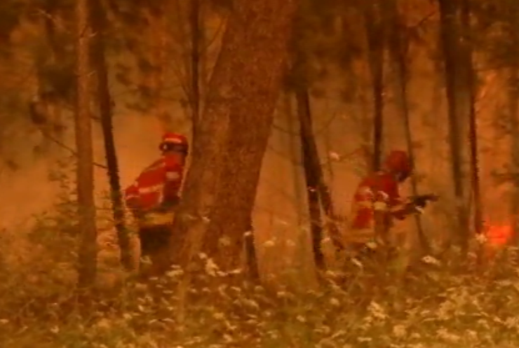 Пожары в Португалии могла вызвать молния