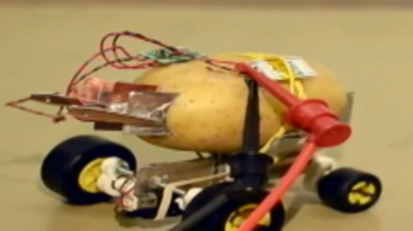 Поляк создал робота из картошки 
