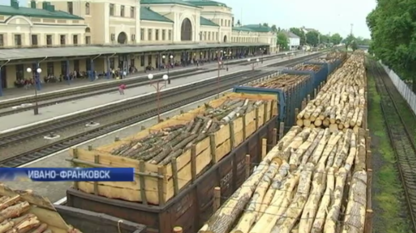 На Прикарпатье браконьеры массово вывозят украинский лес