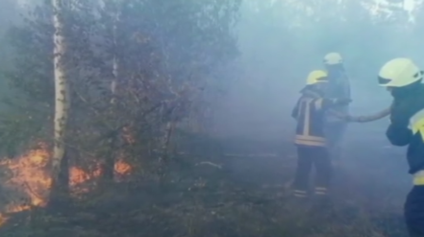 Пожар на полигоне: ветер мешает работе спасателей
