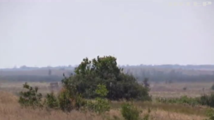 На Луганщині російські найманці провокують до бойових дій