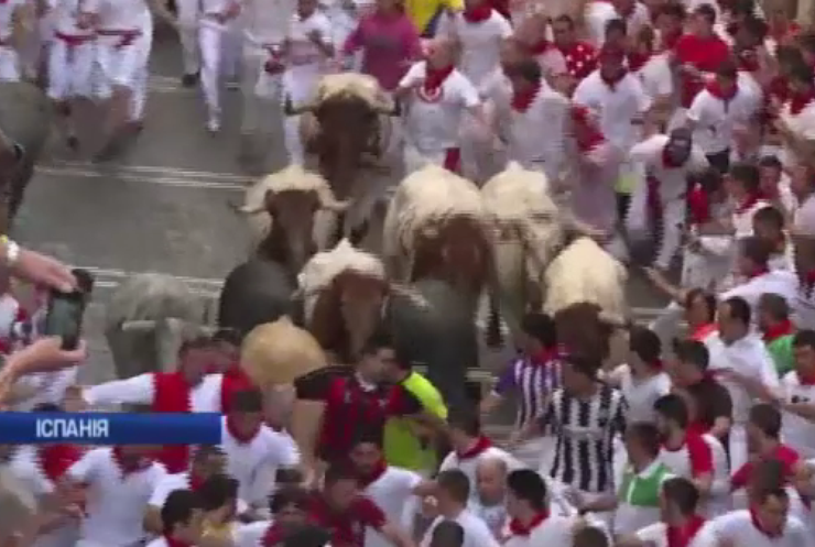 В Іспанії бики травмували двох учасників фестивалю Сан-Фермін