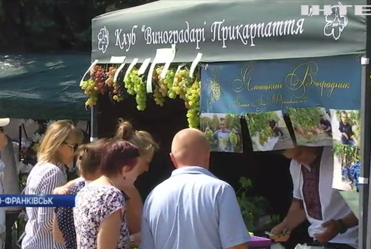 В Івано-Франківську пройшов фестиваль вина та винограду