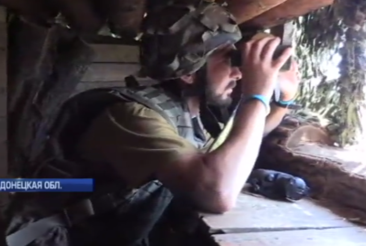 На Донбассе окопы солдат заполонили пчелы (видео)