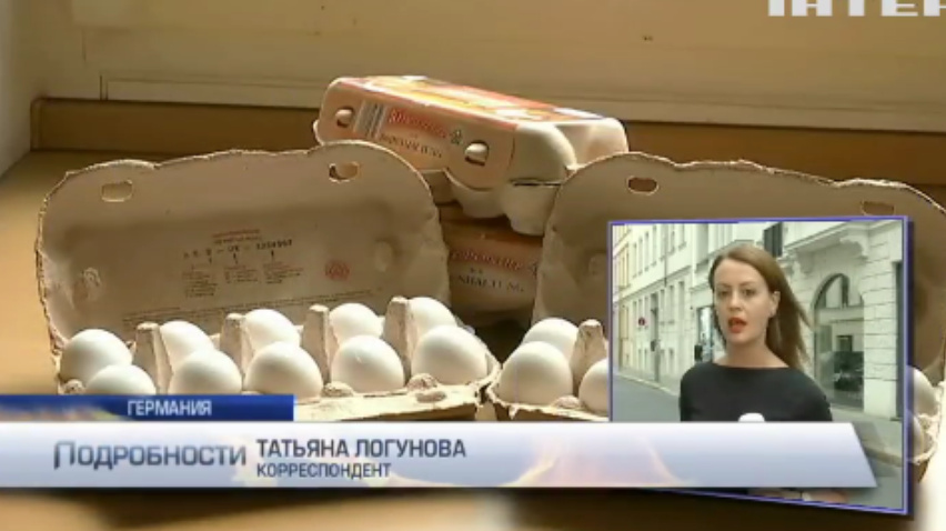 В Европе изымают из продажи отравленные куриные яйца (видео)