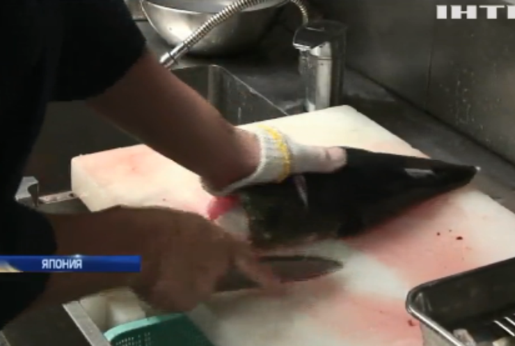 В Японии в продажу попала необработанная рыба фугу