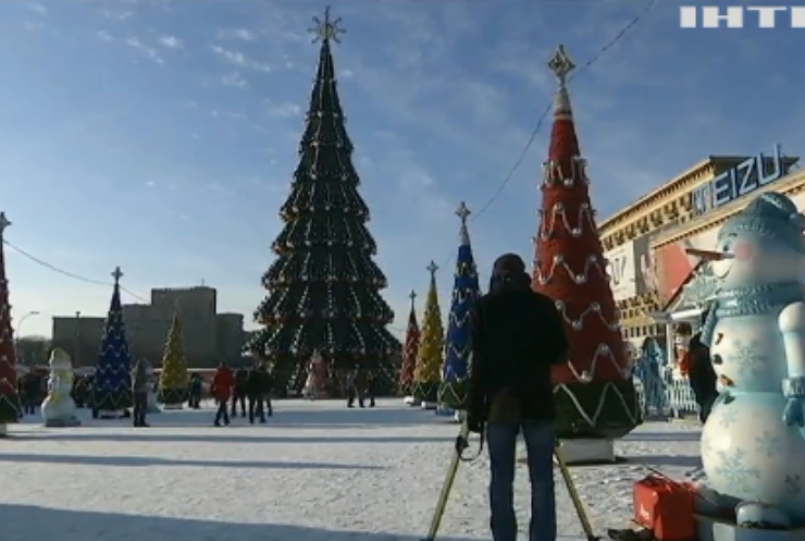 В Україні обрали найвищу новорічну ялинку