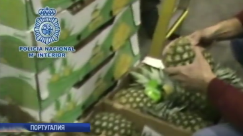 В Португалии нашли ананасы со вкусом кокаина