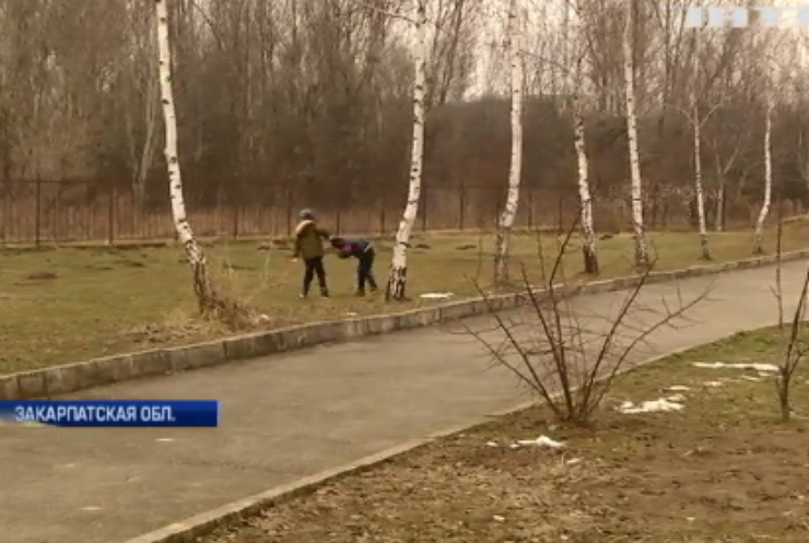 Гормональная атака: в Ужгороде школьные разборки закончились черепно-мозговой травмой
