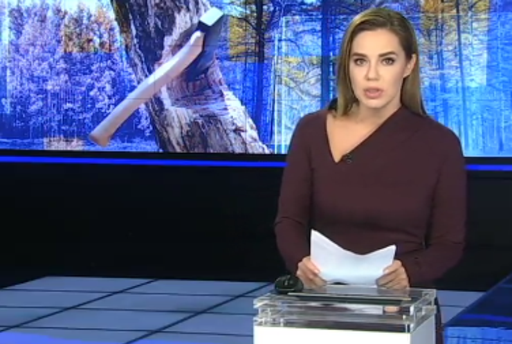 Браконьєри знищили сотні дерев у Києві
