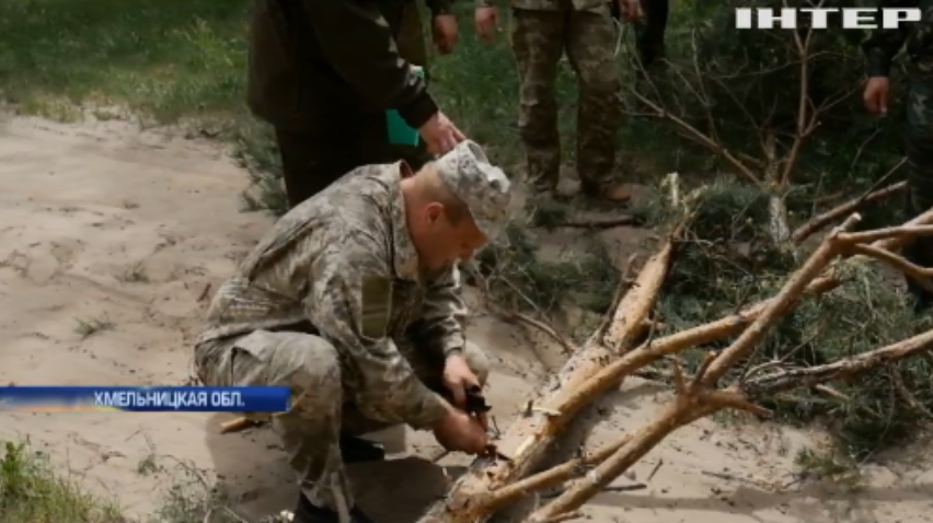 Леса Украины атакуют жуки-короеды