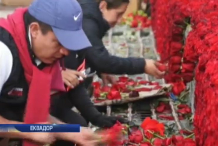 Волонтери звели піраміду з троянд (відео)