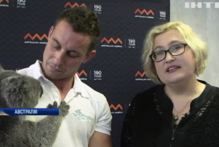 Австралійські вчені розшифрували ДНК коали
