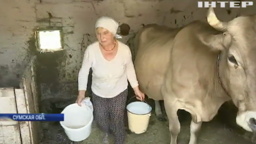 Оппозиция призвала остановить уничтожение украинского села