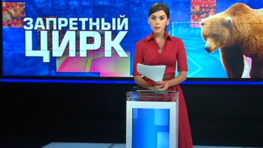 Зрителей цирка Одессы развлекают животные из Красной книги (видео)