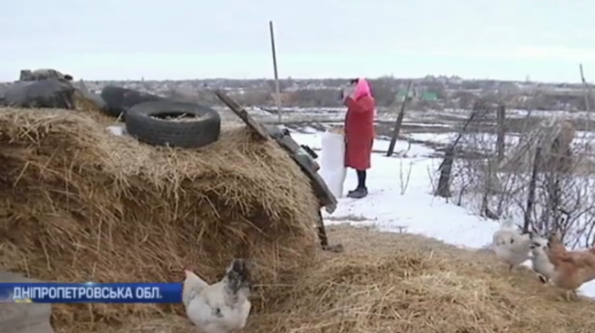 У селі на Дніпропетровщині оголосили карантин через чуму