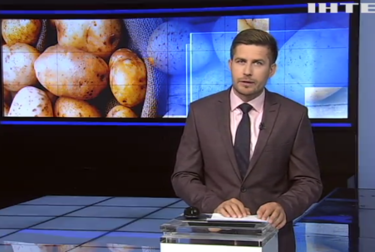 Врожай в Україні: чому не вродила картопля та яблука?