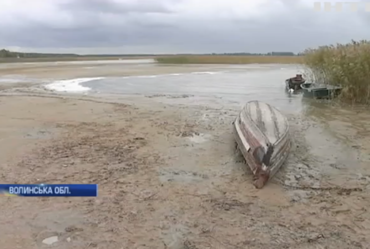 Озеро Світязь опинилося на межі екологічної катастрофи