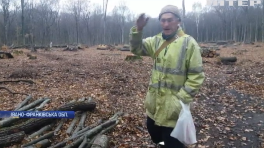 Прикарпатських лісників звинуватили у вирубування цінних дерев