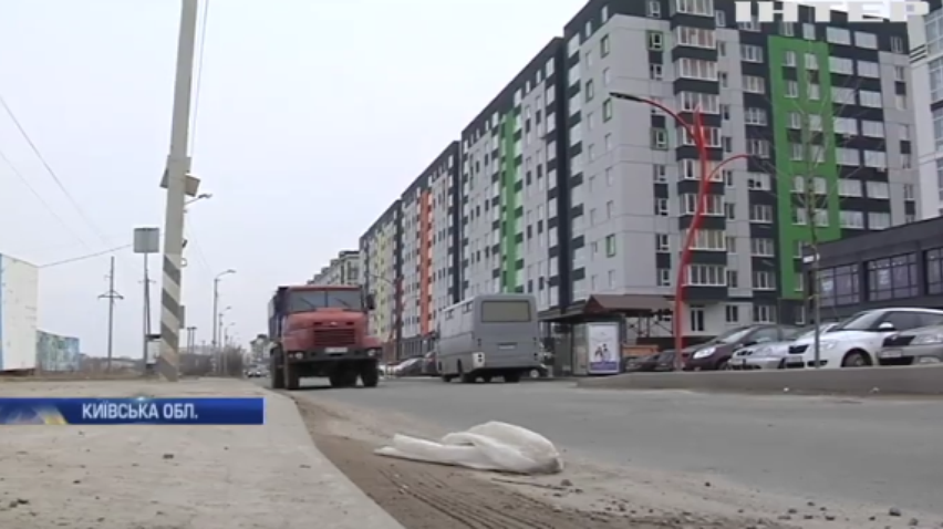Будинки на місці лісу та плавнів: в Ірпені місцеві мешканці протестують проти скандального плану забудови