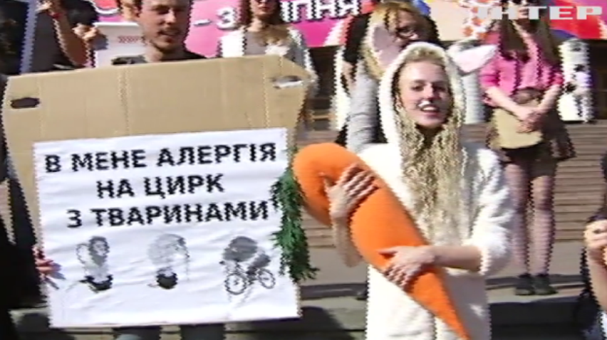 Адмінсуд Києва залишив у силі заборону цирків-шапіто