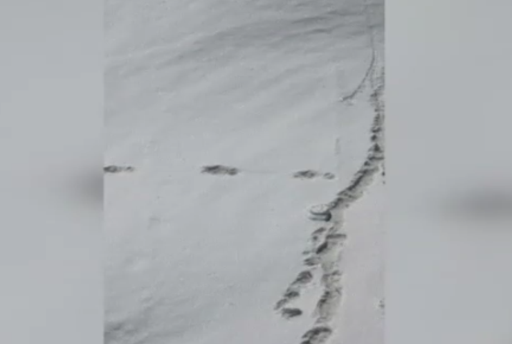 Індуси знайшли сліди снігової людини