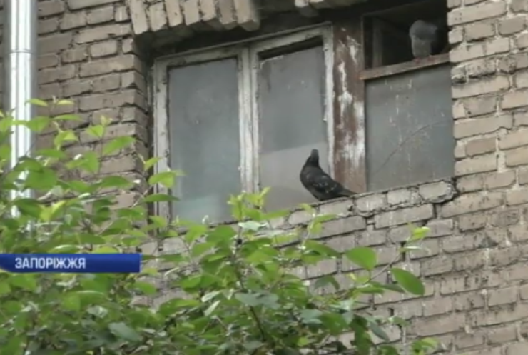 Пенсіонерка перетворила квартиру на голубник