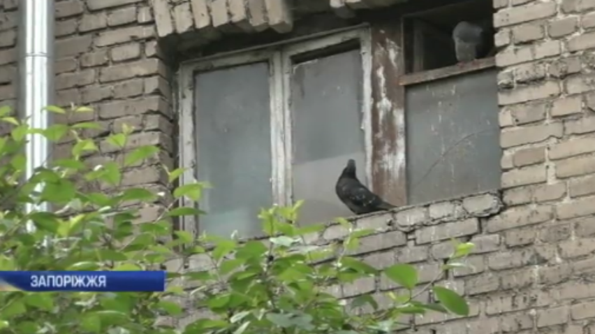 Пенсіонерка перетворила квартиру на голубник