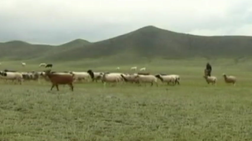 У Монголії зафіксували спалах чуми