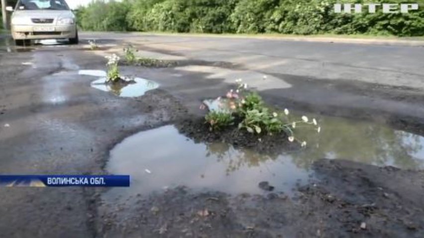 Активісти Луцька облаштували квіткові клумби на проблемних автошляхах