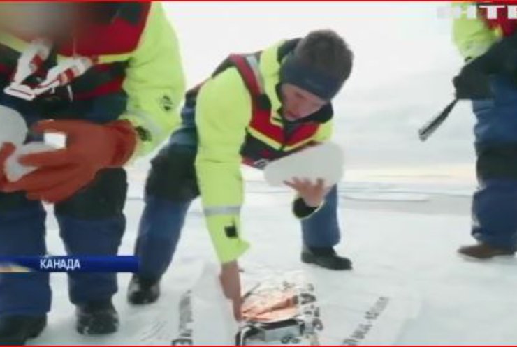 У товщі арктичного льоду знайшли пластик