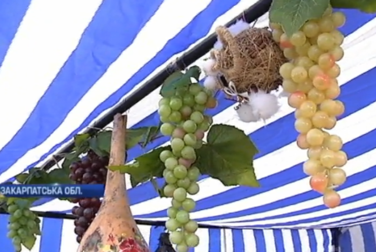 На Закарпатті пройшов фестиваль вина і виноробів