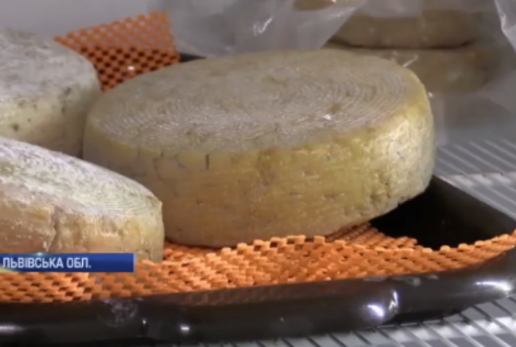 У Карпатах дві жінки організували бізнес із виробництва сиру