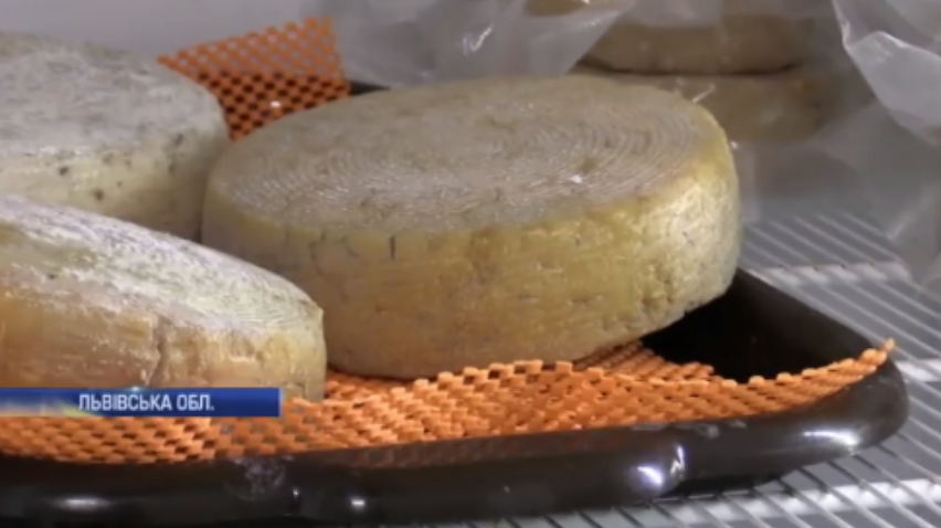 У Карпатах дві жінки організували бізнес із виробництва сиру