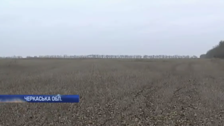 Фермери з Черкащині познущались з унікальних курганів