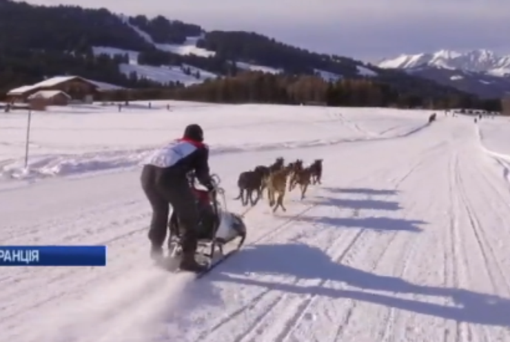 В Альпах змагалися у перегонах на собачих упряжках
