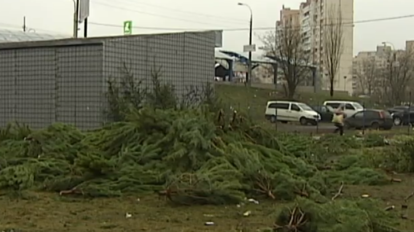 У Києві запрацювали пункти прийому новорічних ялинок