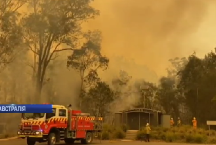Пожежі у Австралії: вогонь знищив п'ять мільйонів гектарів лісу