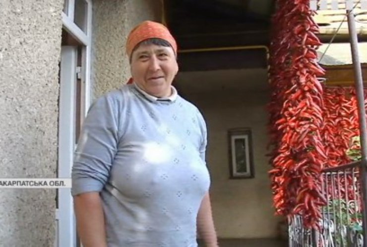 Сезон перцю: На Закарпатті масово виготовляють паприку для всієї України