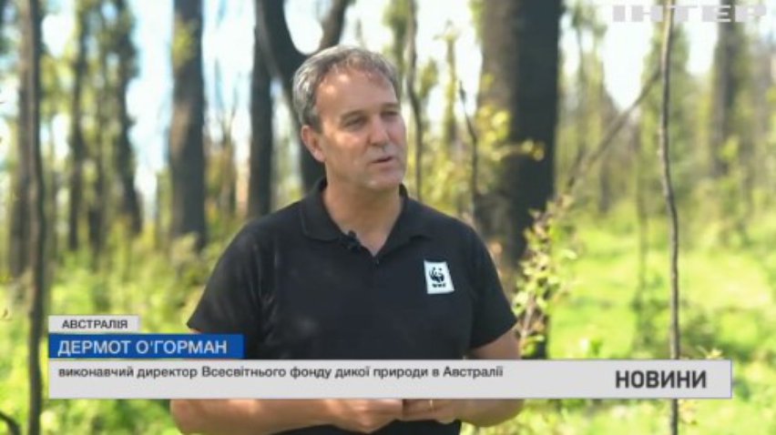 В Австралії за допомогою дронів відновлять ліс після пожеж