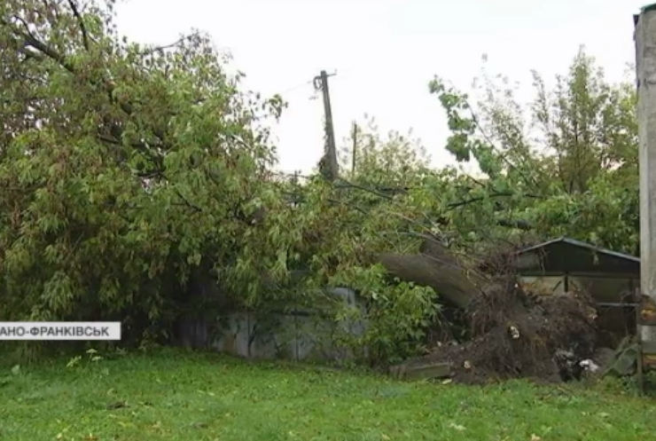 Вітер обривав дроти та валив дерева: над Івано-Франківськом пронісся буревій