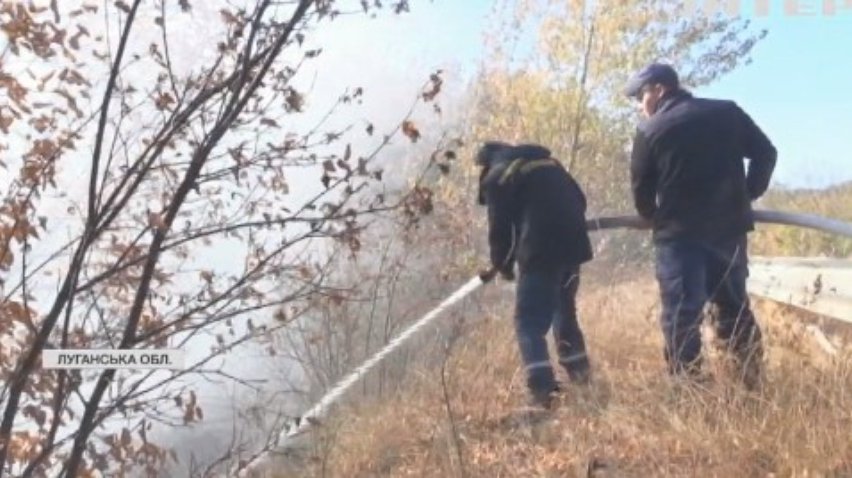 На Сході бойовики підпалюють степ і лісосмуги