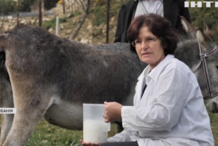 Албанці рятуються від коронавіруса віслючим молоком