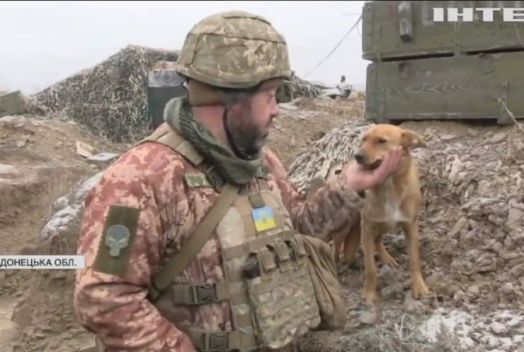 На Донбасі чотирилапі помічники допомагають бійцям ЗСУ обороняти передові позиції
