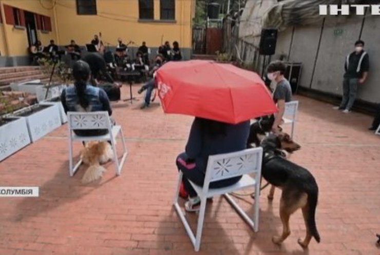 У Колумбії влаштували концерт для собак та їх господарів