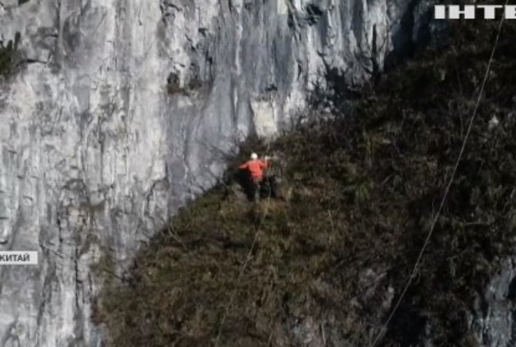 У Китаї "павуки" очищають гору протягом 10 років