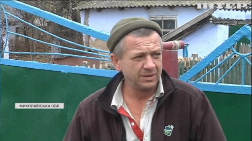 На Миколаївщині пташиний грип: жителям довелося утилізувати всю птицю