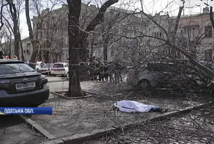 Повалені дерева, зірвані дахи та потрощені автівки: Україна оговтується від атаки стихії