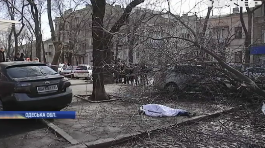 Повалені дерева, зірвані дахи та потрощені автівки: Україна оговтується від атаки стихії